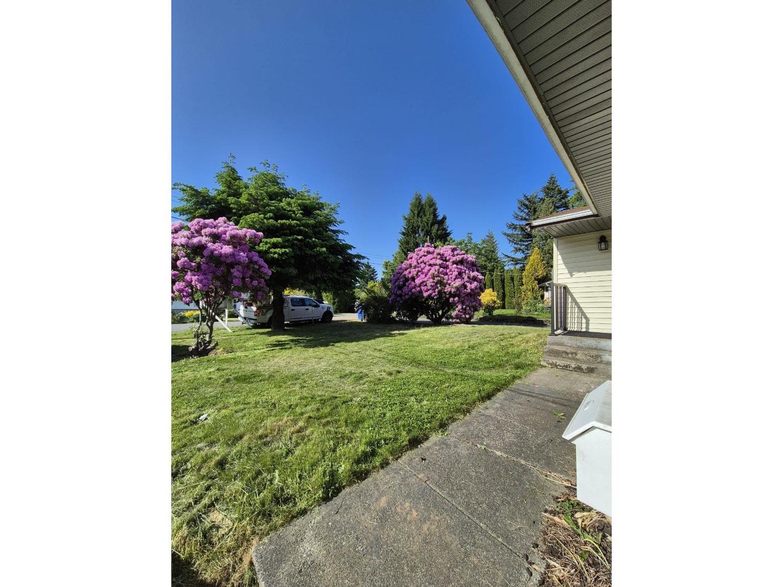 2280 ALEXANDER CRESCENT photo 5