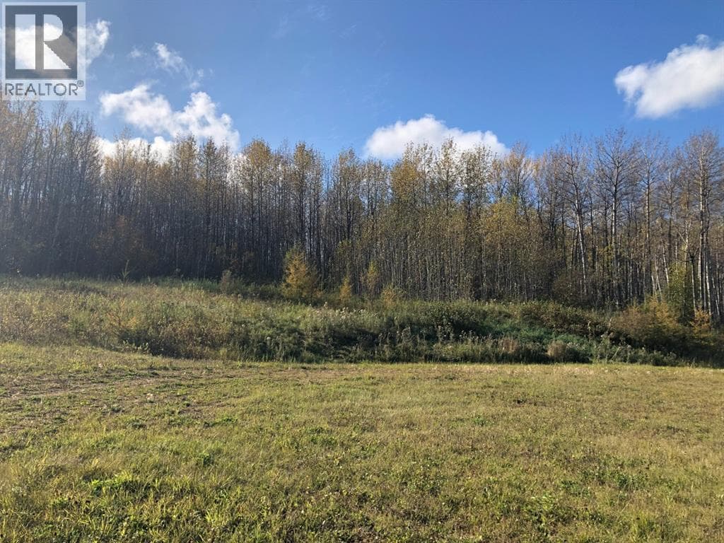 111, 16326 Twp Rd 675 — photo 4