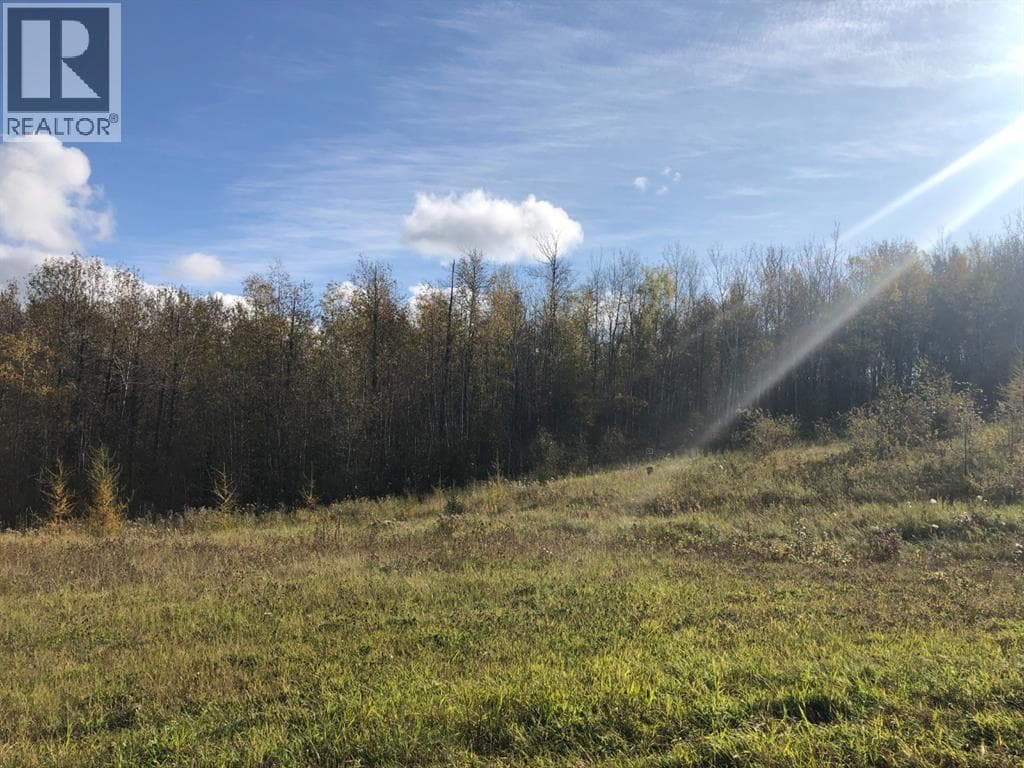 115, 16326 Twp Rd 675 — photo 3