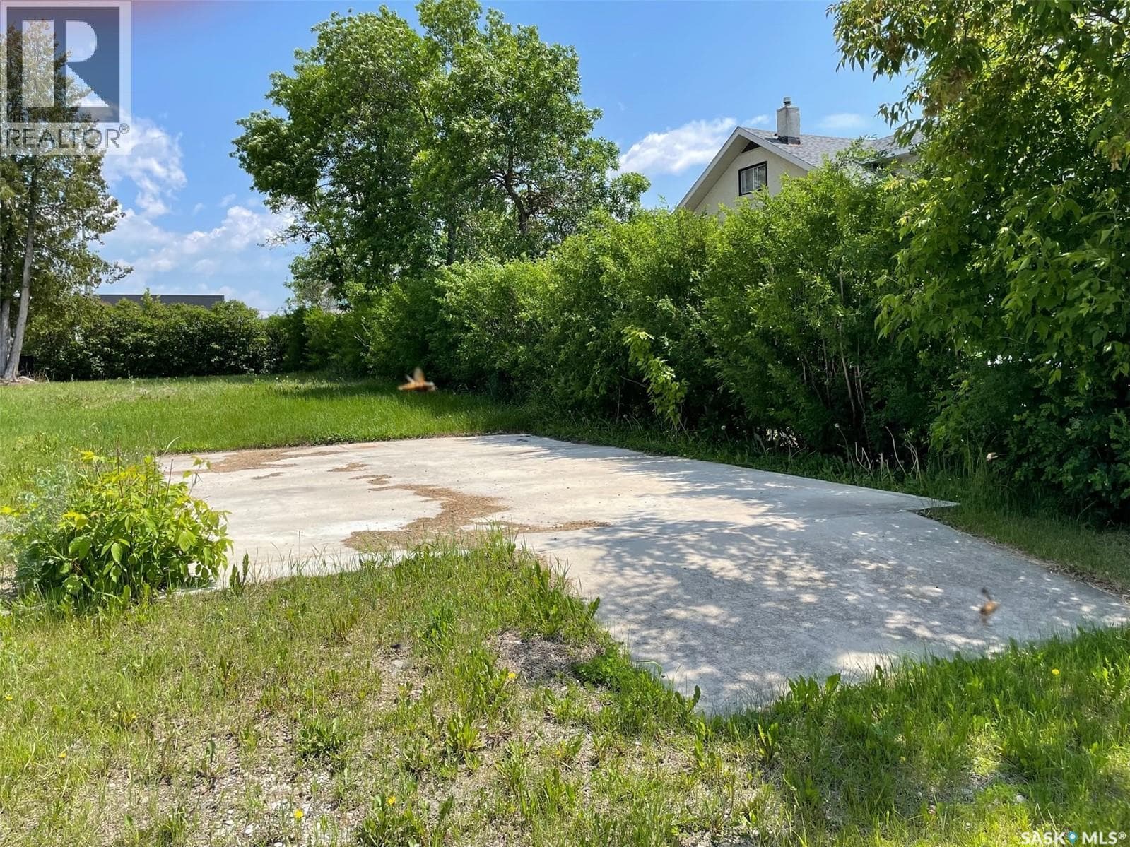 203 Churchill STREET photo 3