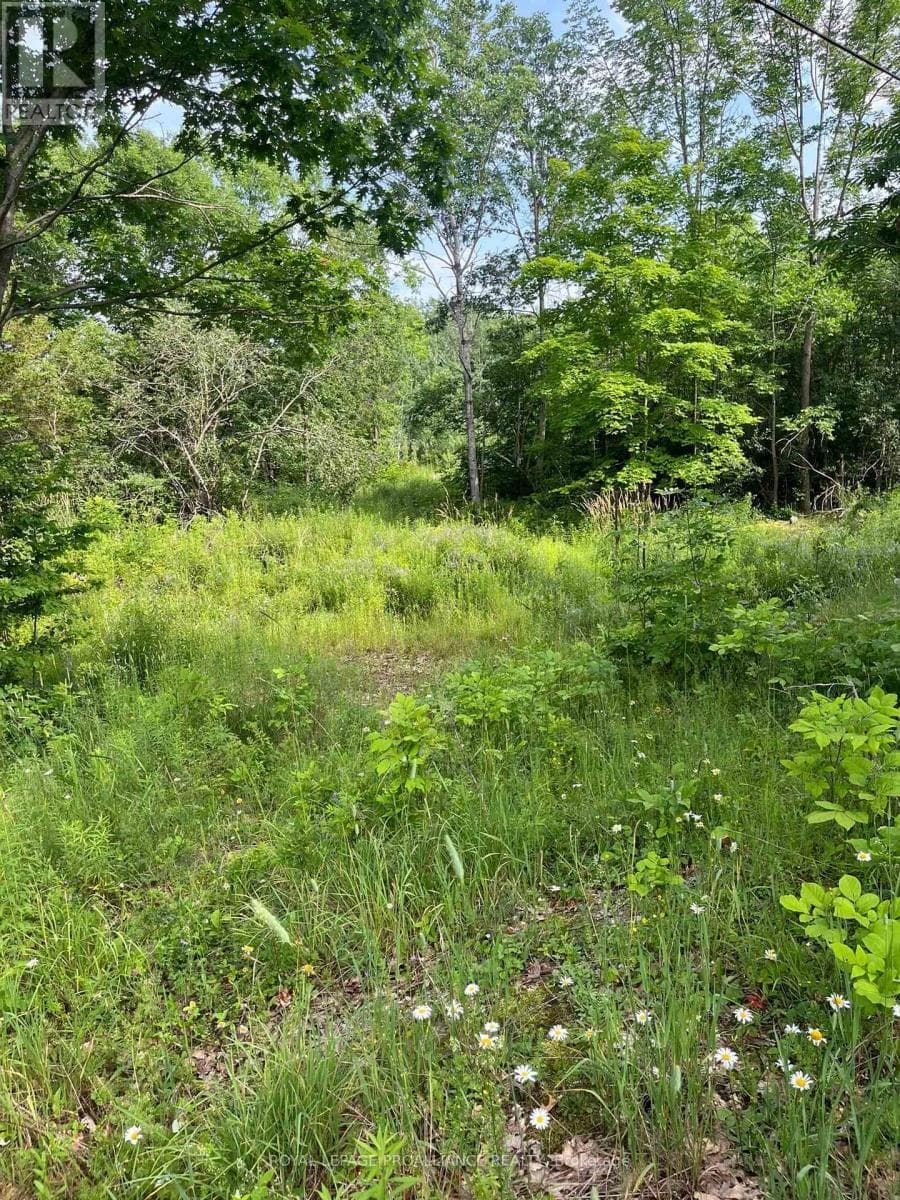 vacant land at 0 PT LT 14 CON 3 — $80,000