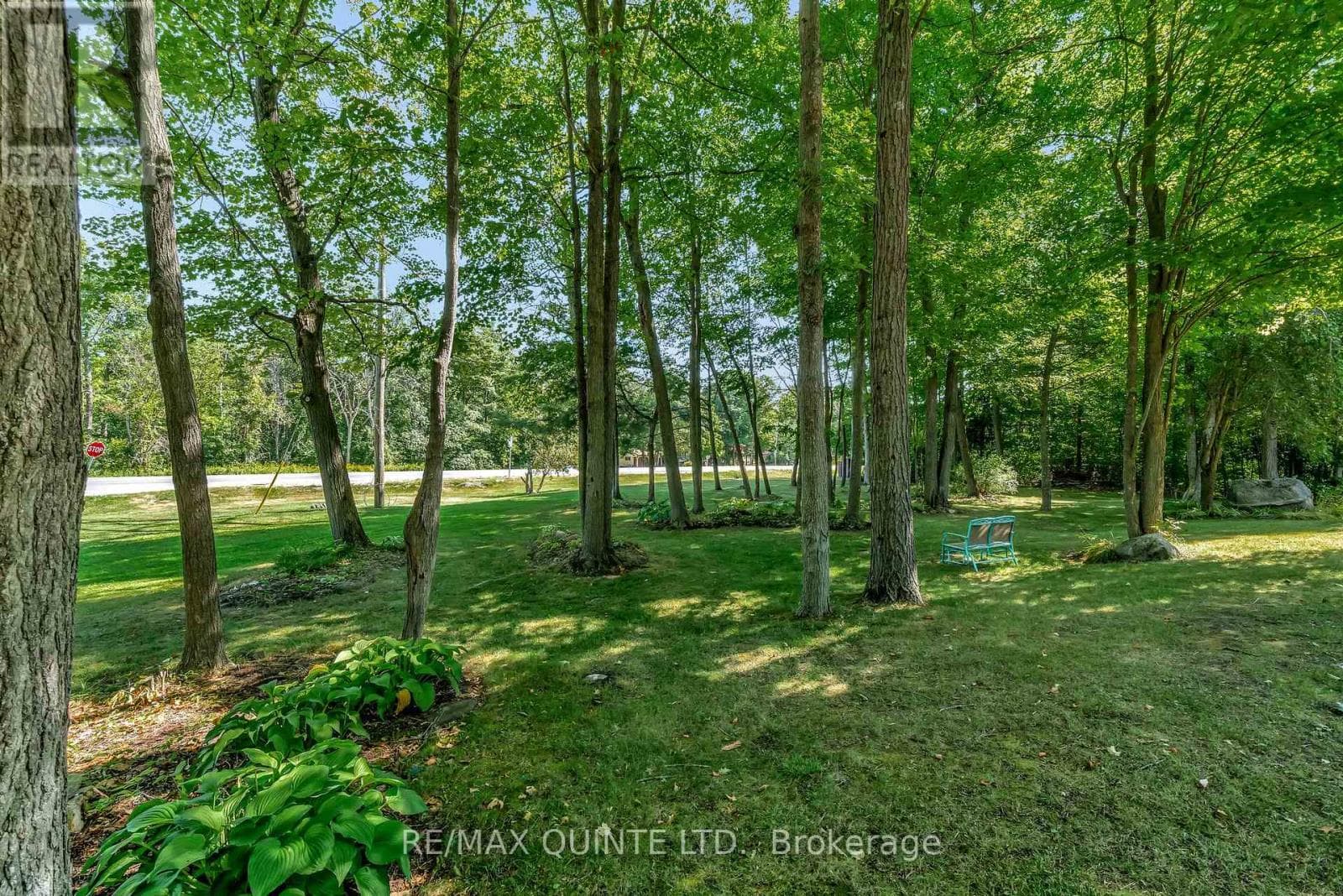 291 COLONIAL DRIVE photo 4