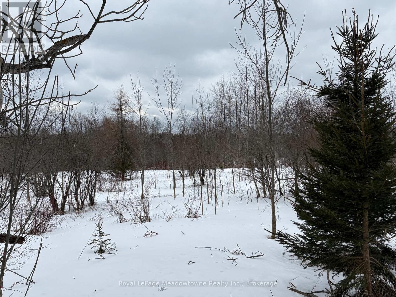9161 ERIN-GARAFRAXA TOWNLINE photo 3