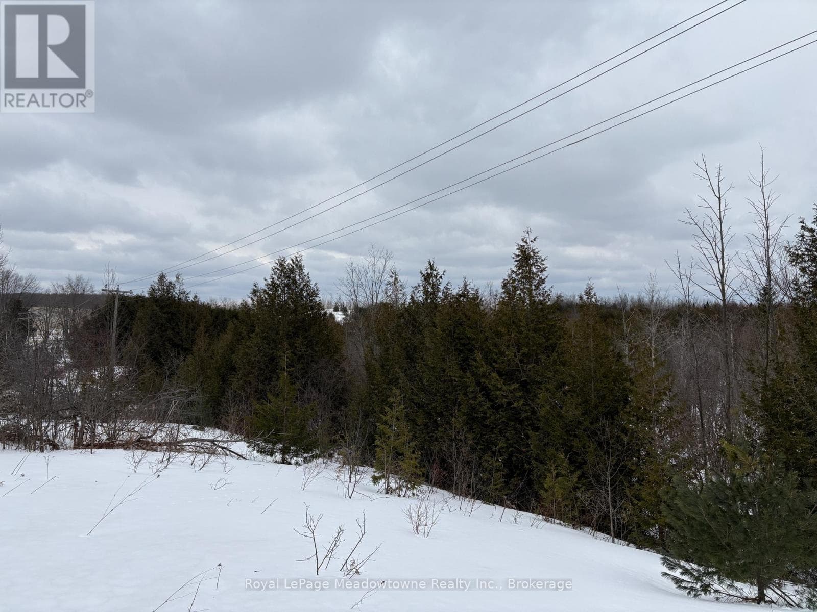 9161 ERIN-GARAFRAXA TOWNLINE photo 5