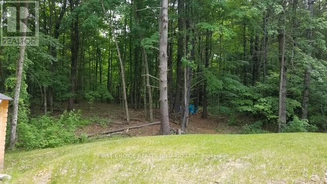 229 NORRIS ROAD photo 2