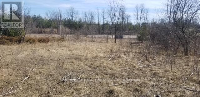 229 NORRIS ROAD photo 3