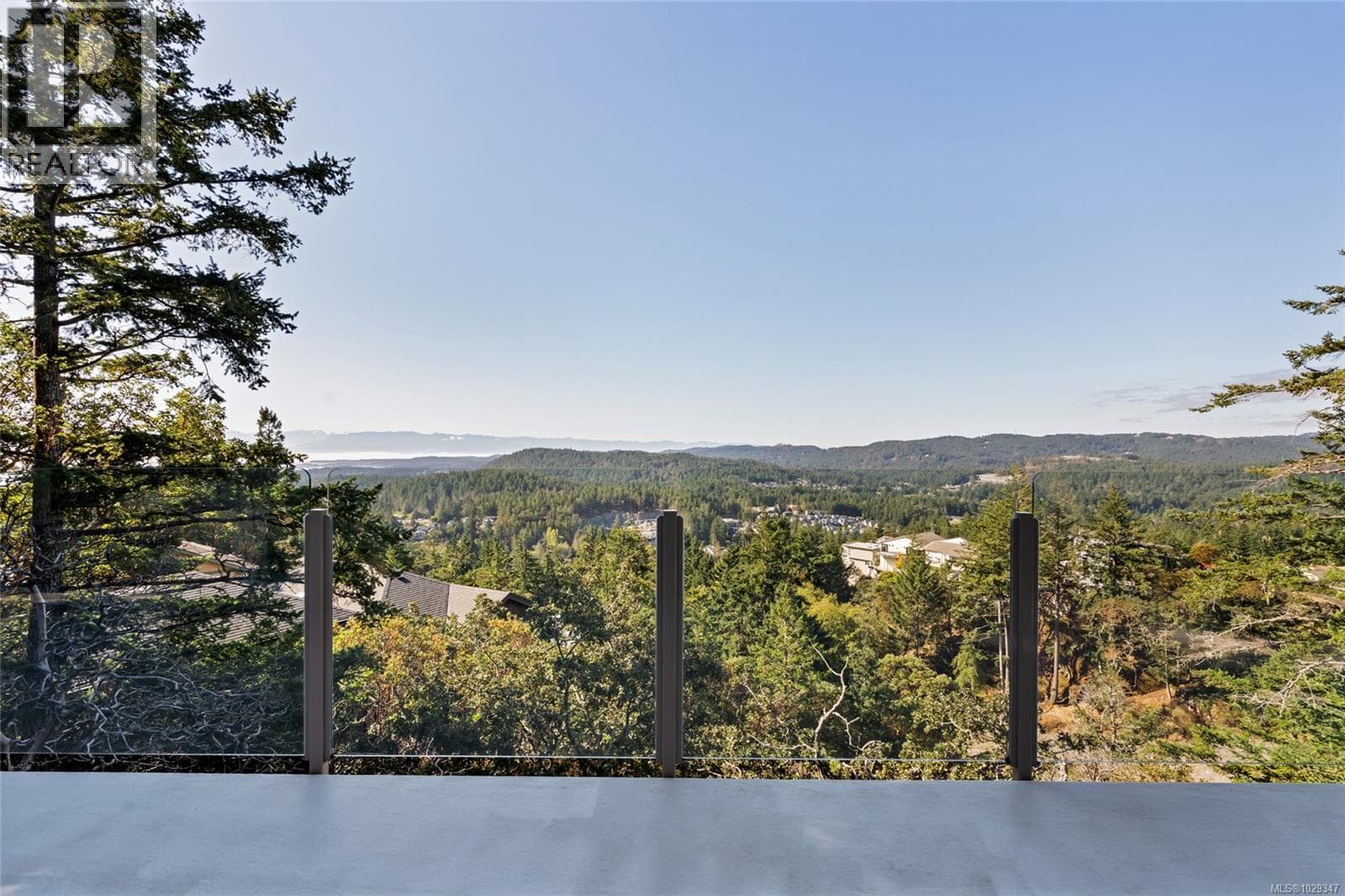 3475 Blue Sky Pl photo 4