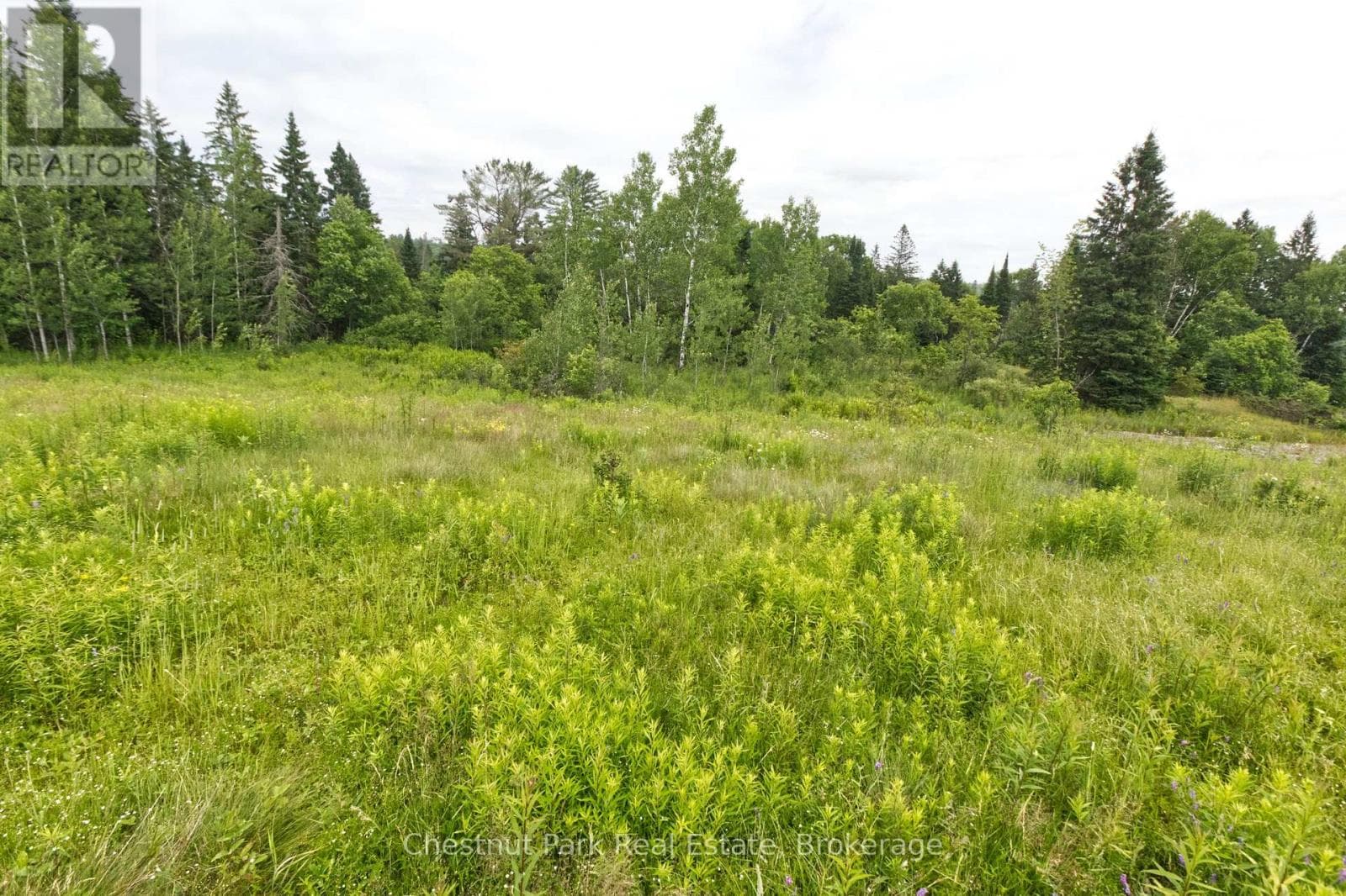 LOT 78 141 HIGHWAY photo 5