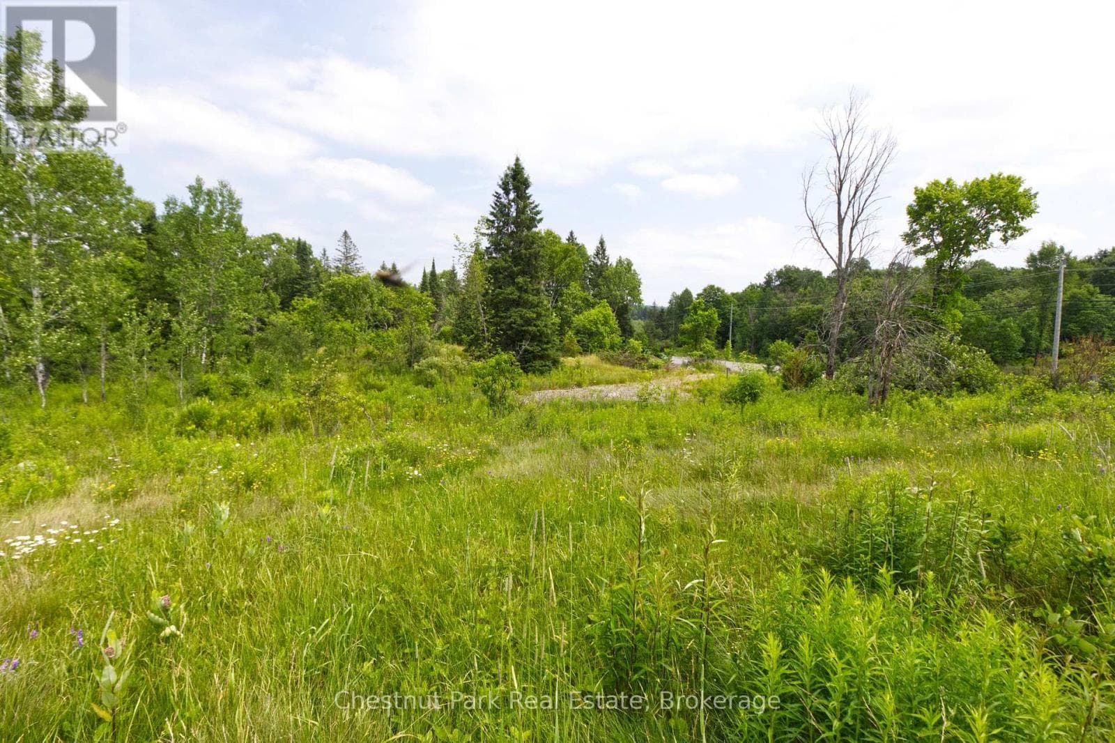 LOT 78 141 HIGHWAY photo 4