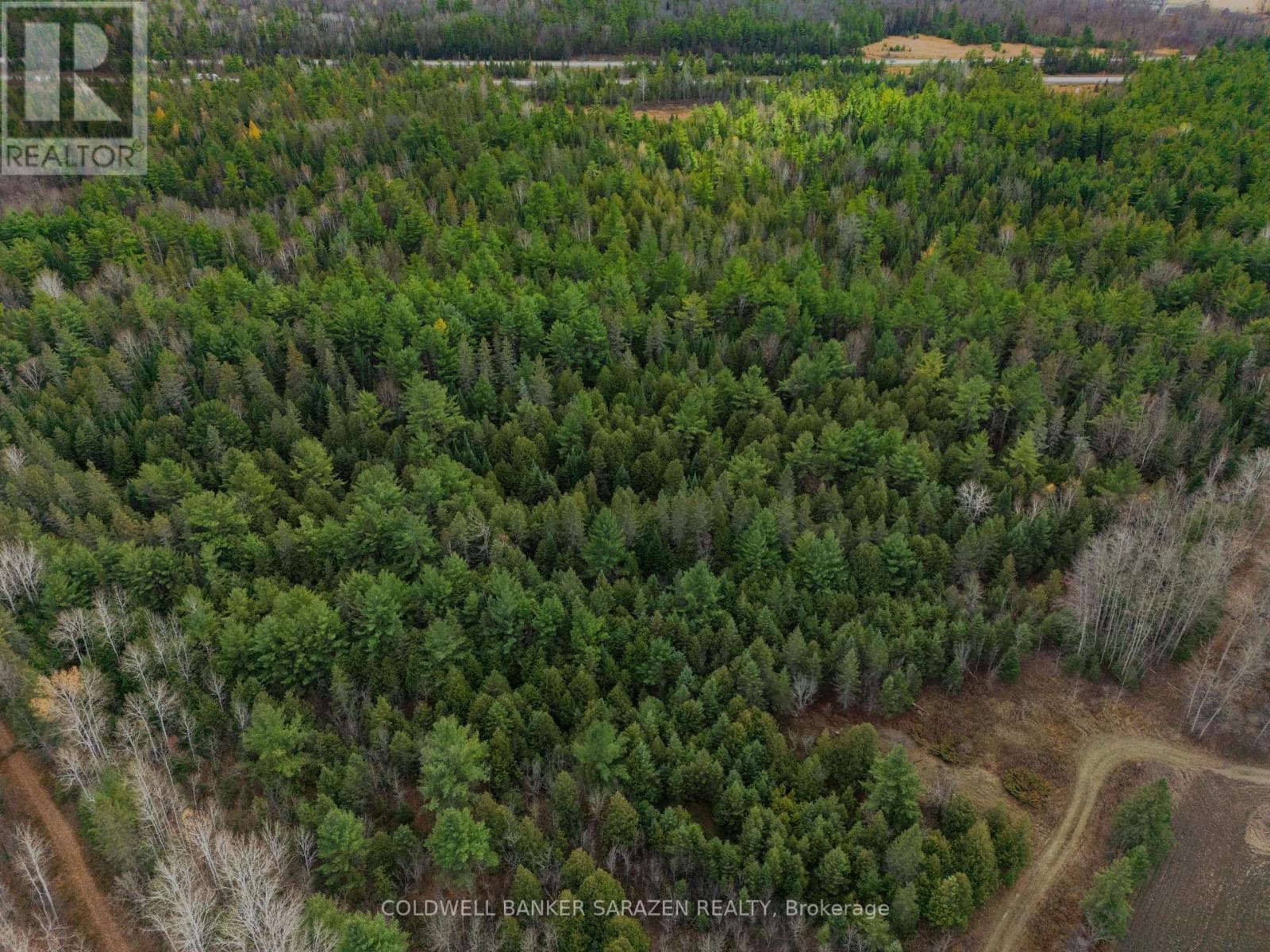 00 SCHEEL DRIVE photo 2