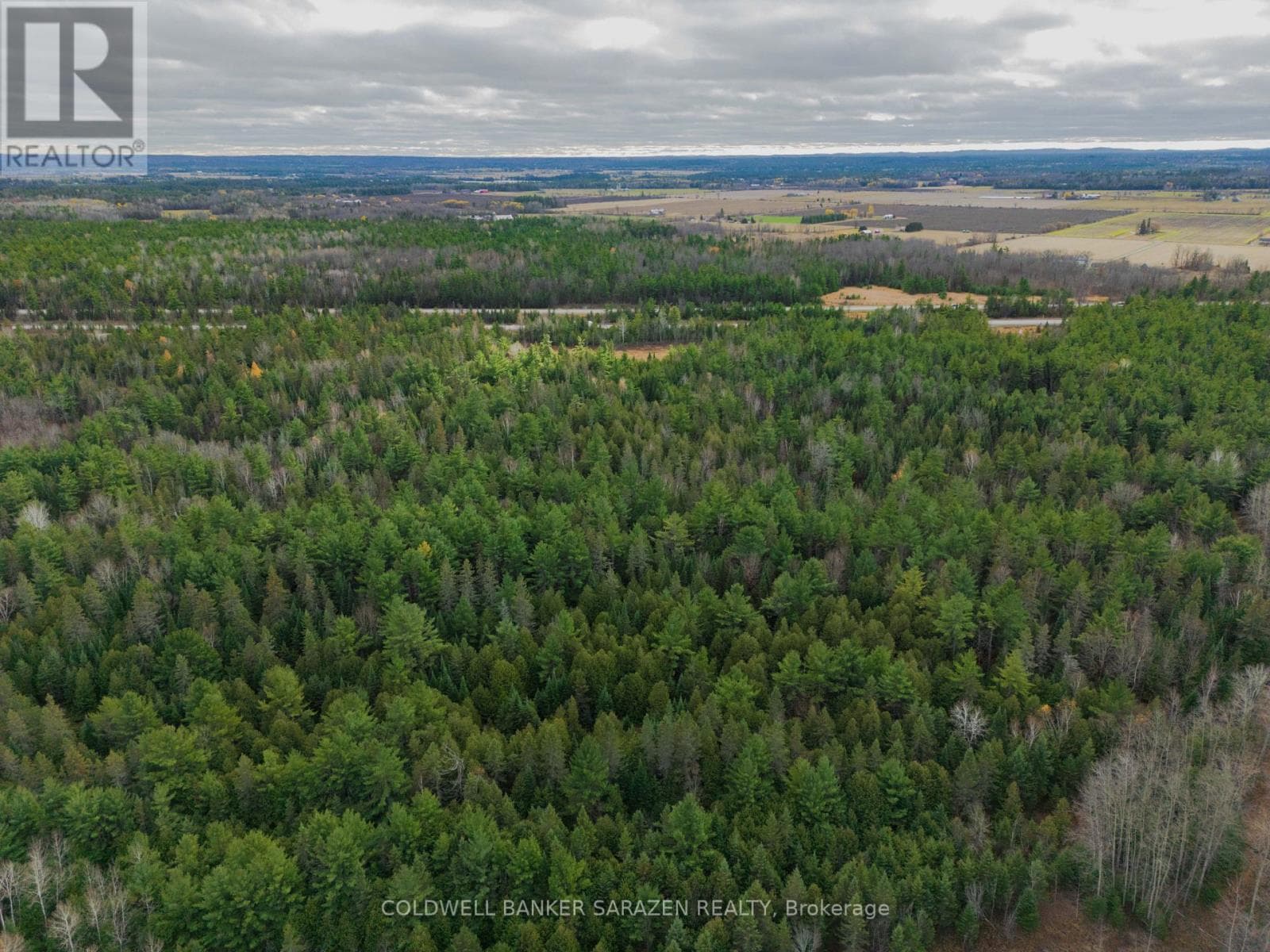 00 SCHEEL DRIVE photo 3