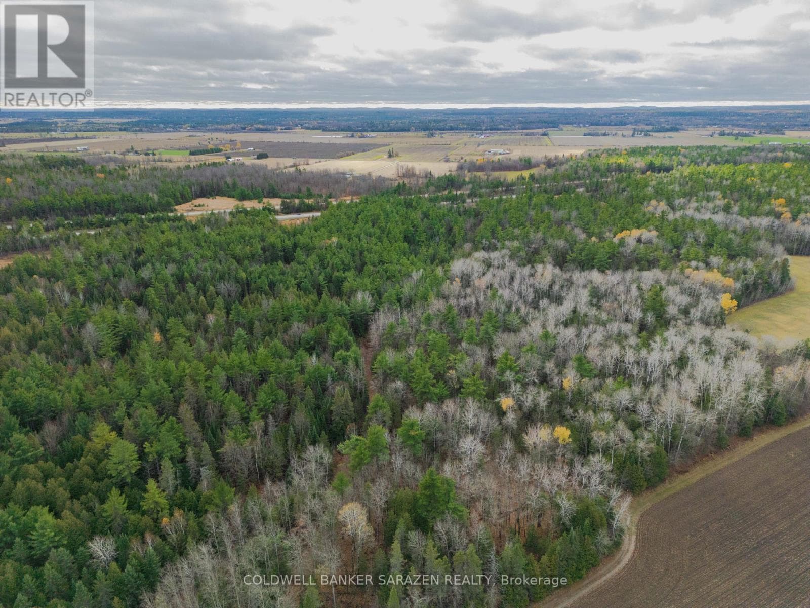 00 SCHEEL DRIVE photo 4