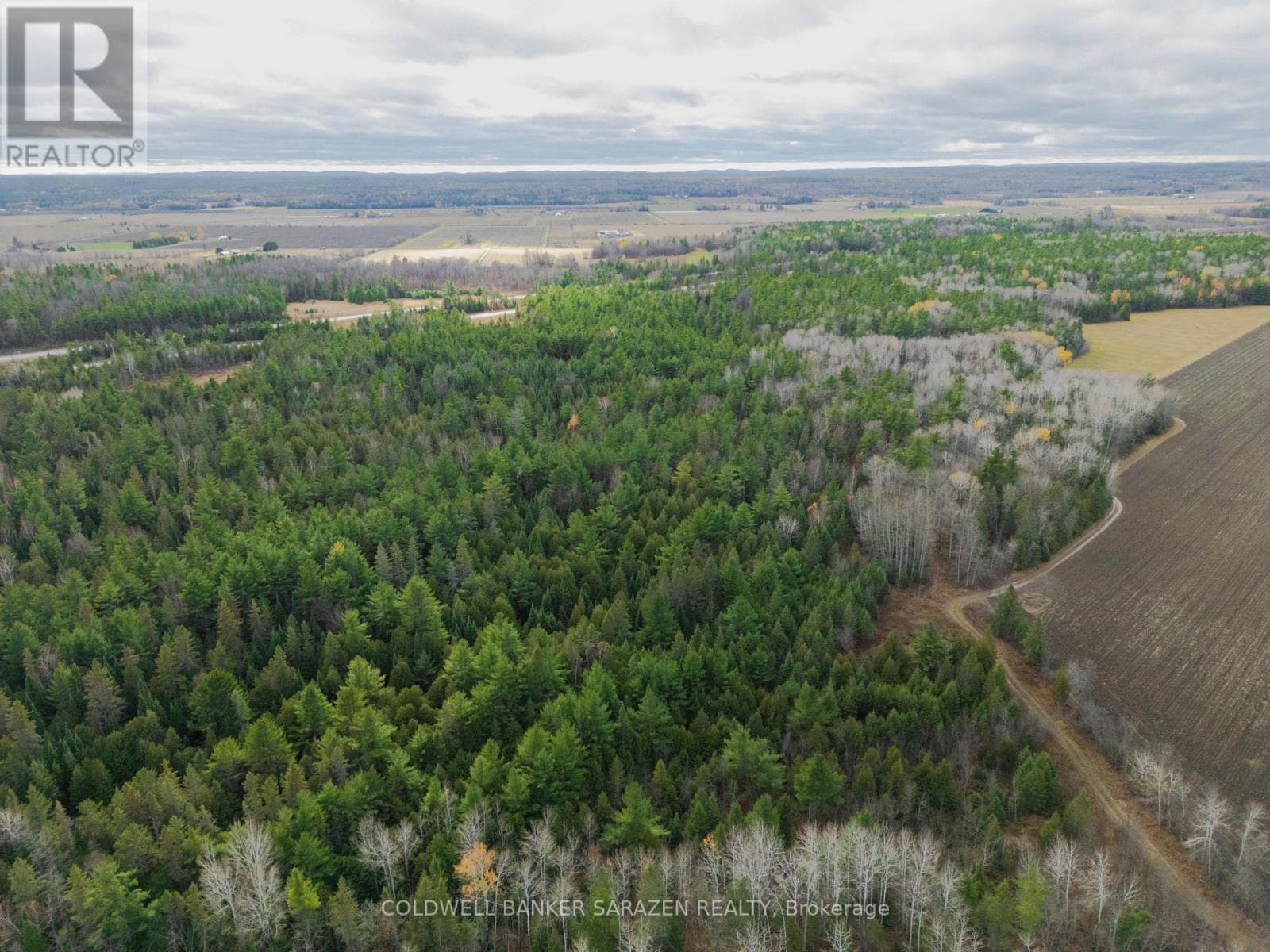 00 SCHEEL DRIVE photo 5