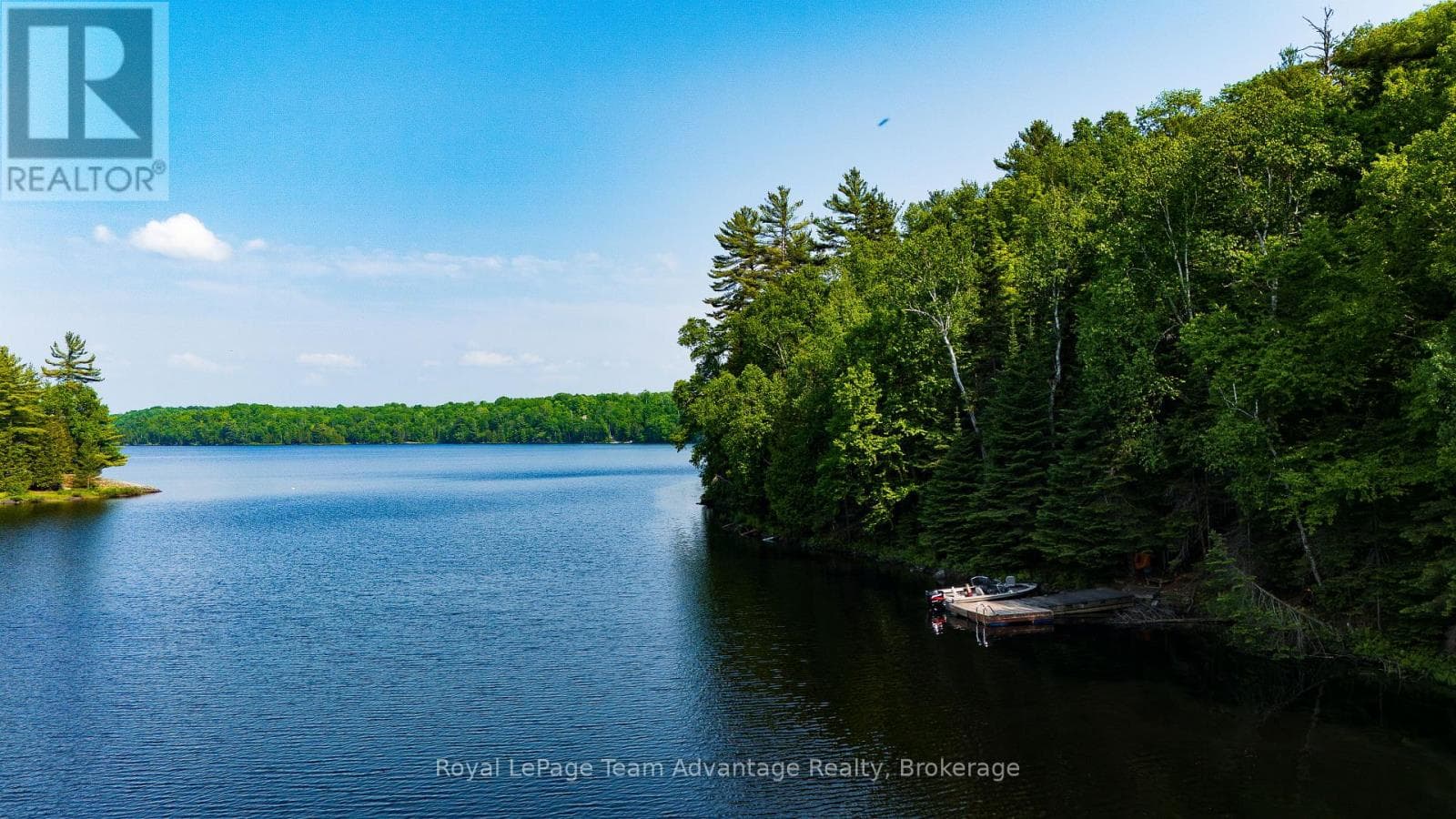 438 SHAWANAGA LAKE photo 3