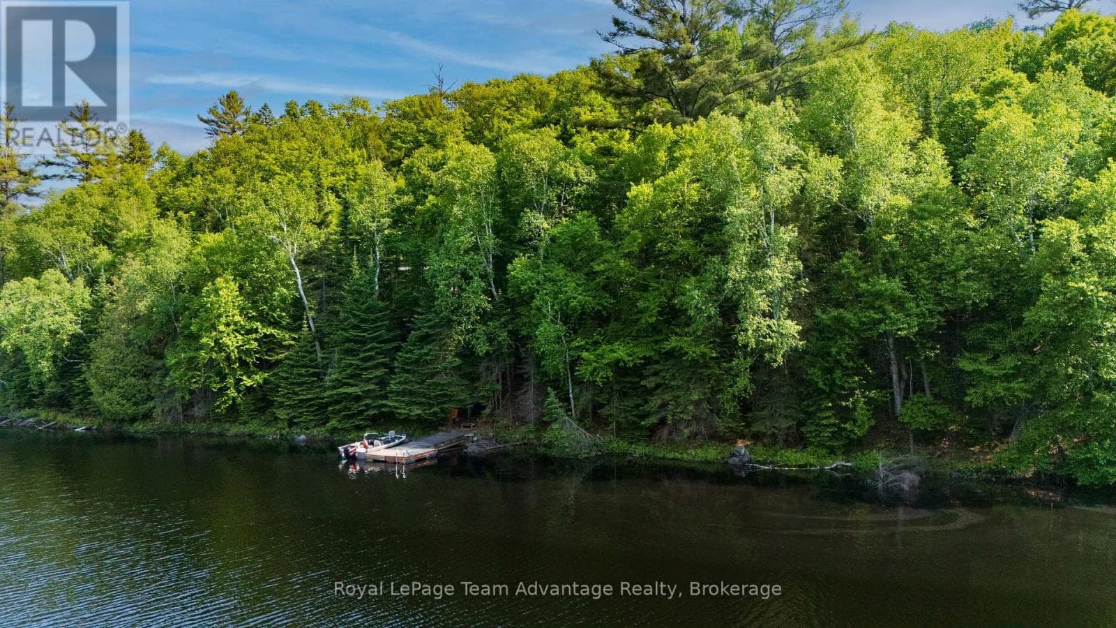 438 SHAWANAGA LAKE photo 5