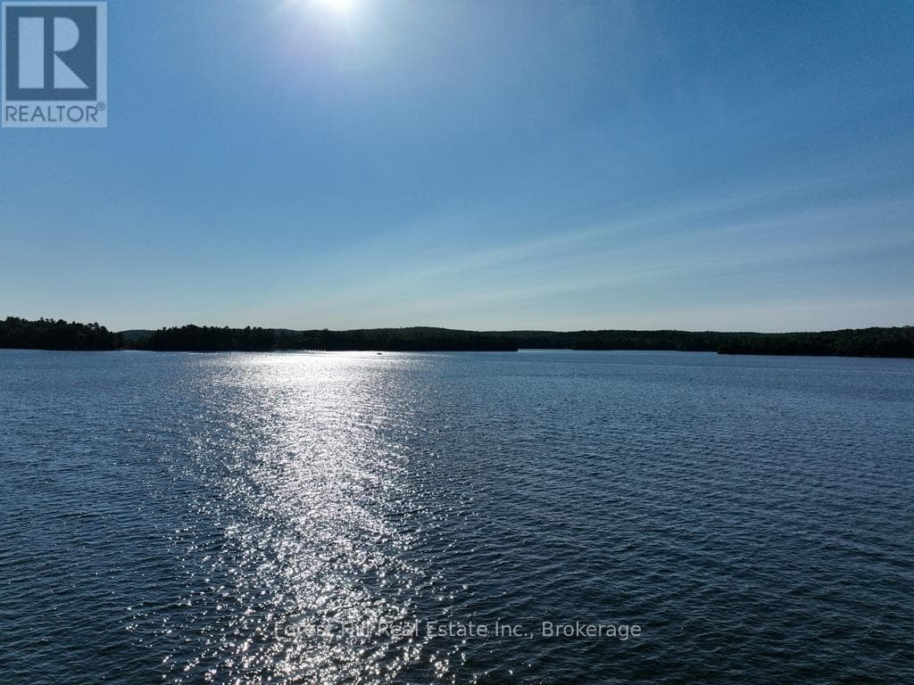 10689 KAWAGAMA LAKE WAO photo 2