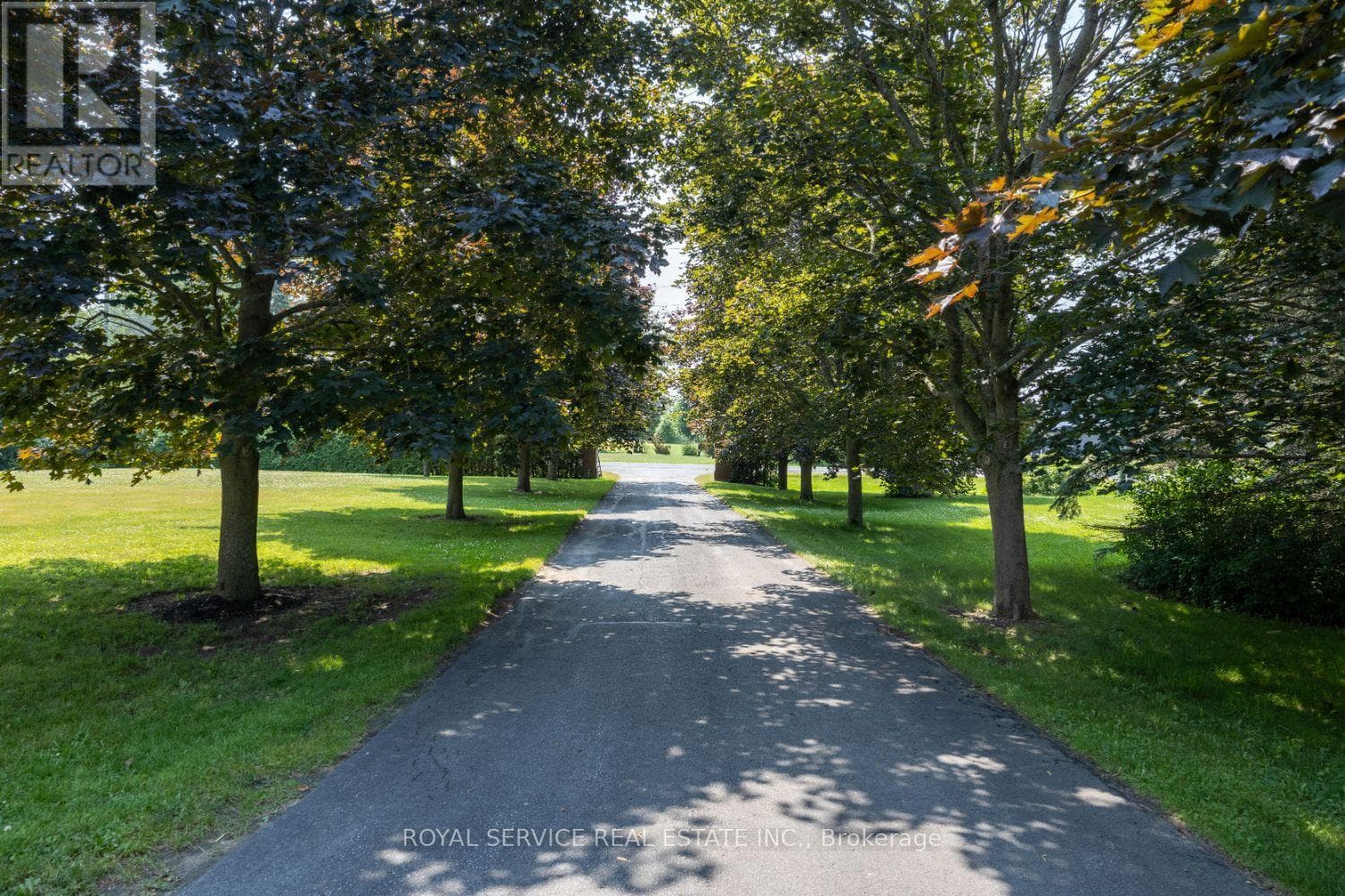 7166 DALE ROAD photo 2