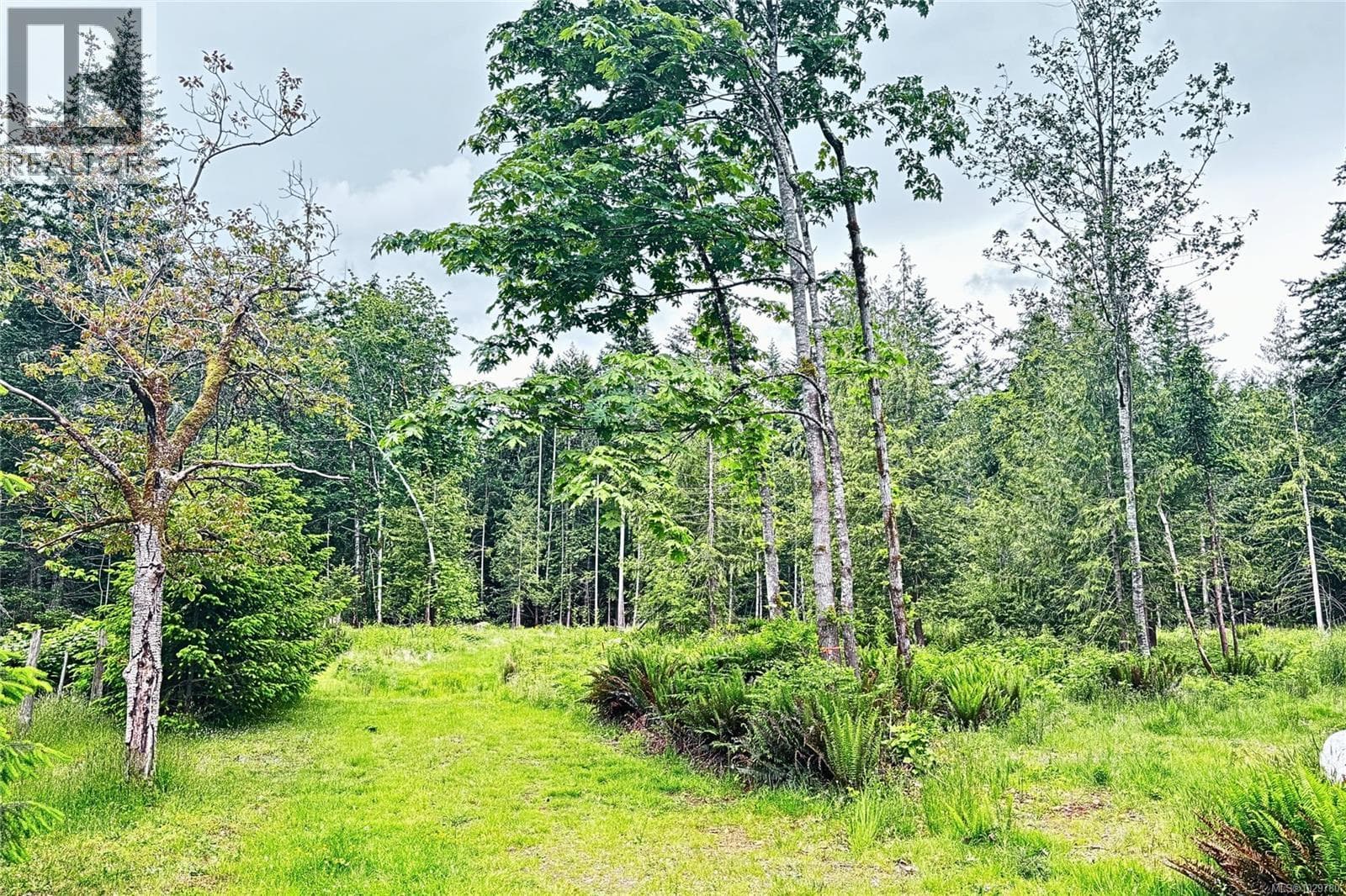 Lot B Island Hwy W photo 5