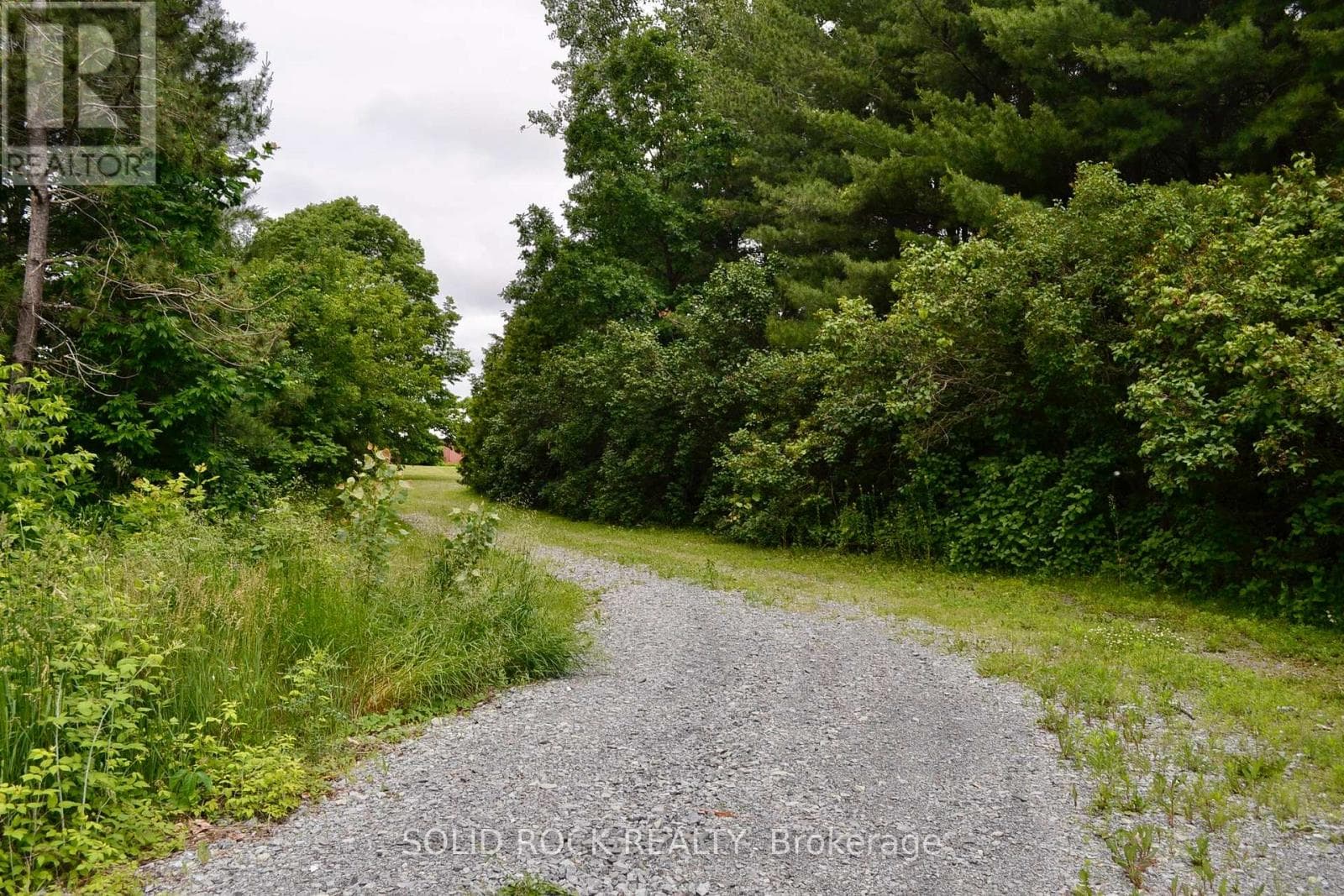 202 HIGHFIELD CRESCENT photo 4
