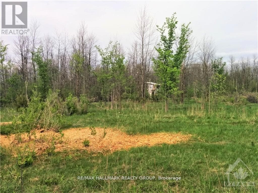 49 RIDEAU AVENUE N photo 3