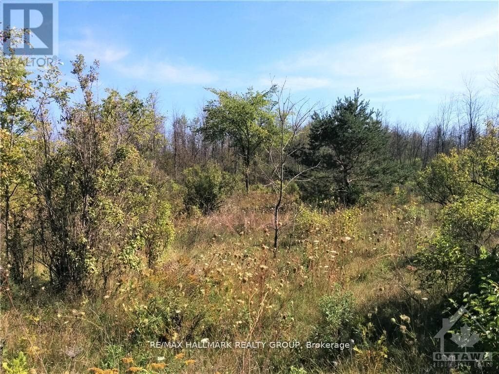 49 RIDEAU AVENUE N photo 4