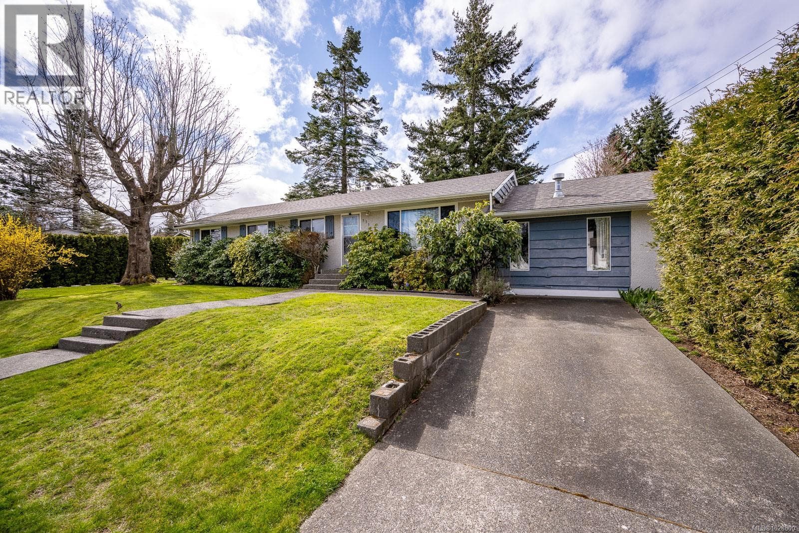 533 Salish St photo 4