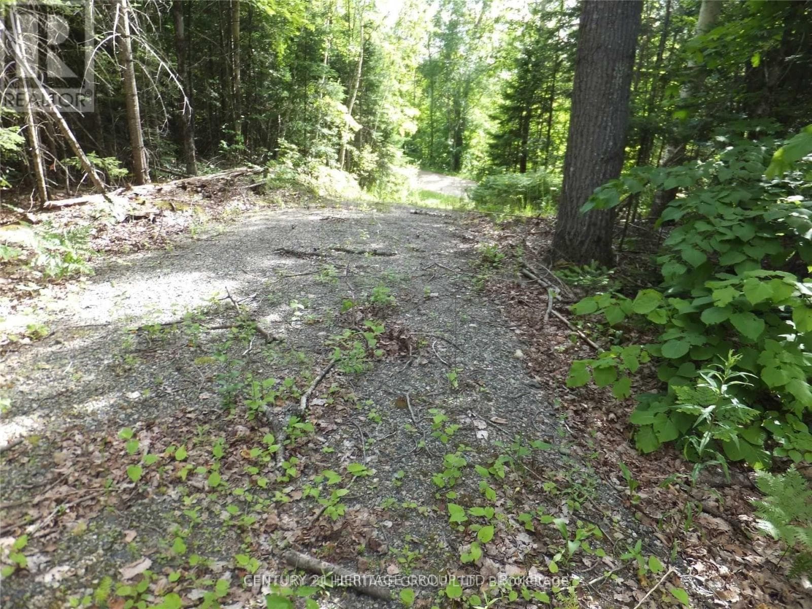2080 GLAMOR LAKE ROAD photo 2