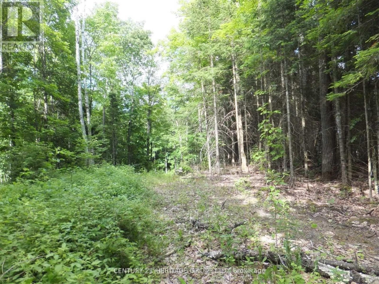 2080 GLAMOR LAKE ROAD photo 3