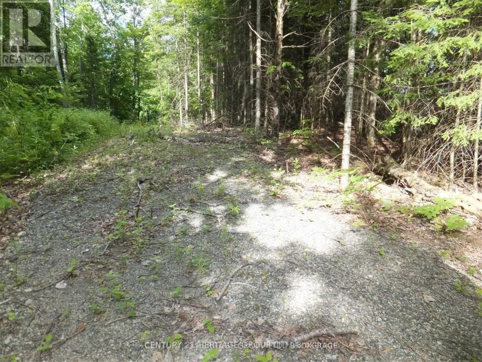 2080 GLAMOR LAKE ROAD photo 4