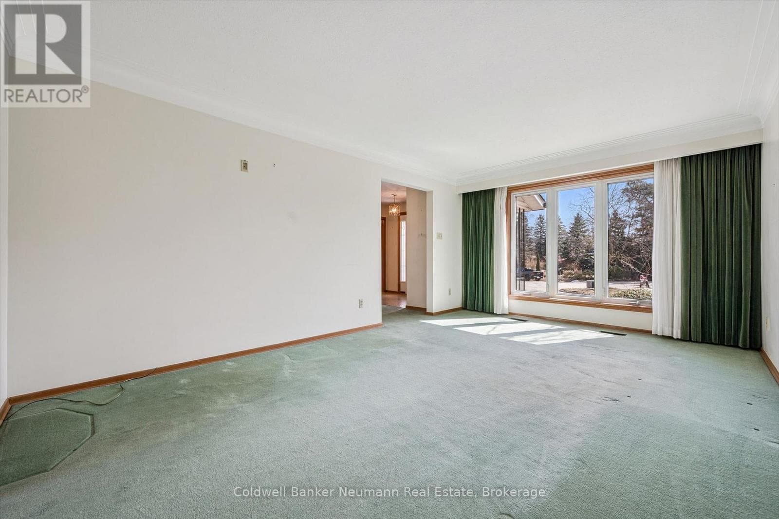 18 CARMINE PLACE photo 5