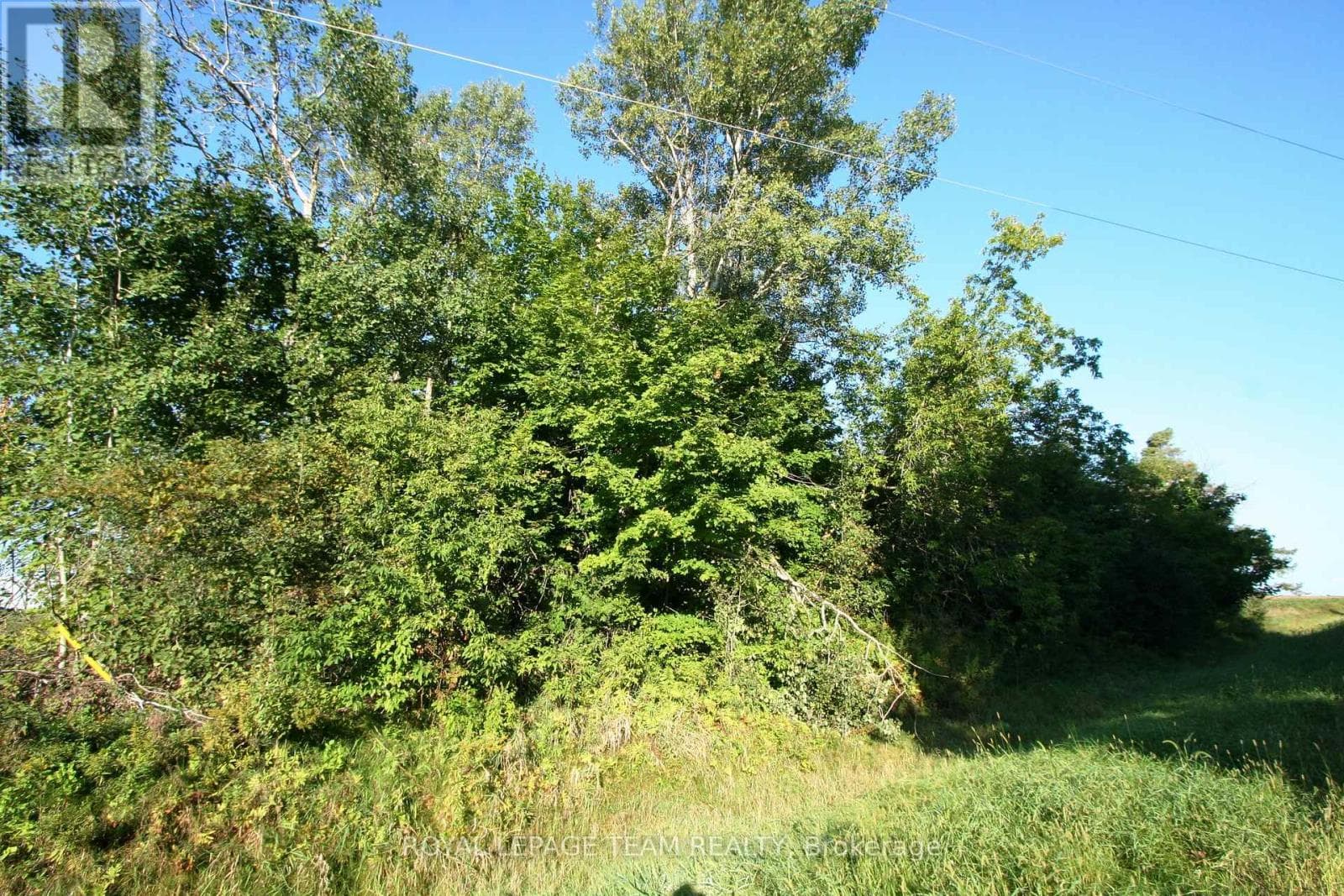 PTLT31 PLEASANT VALLEY ROAD photo 4