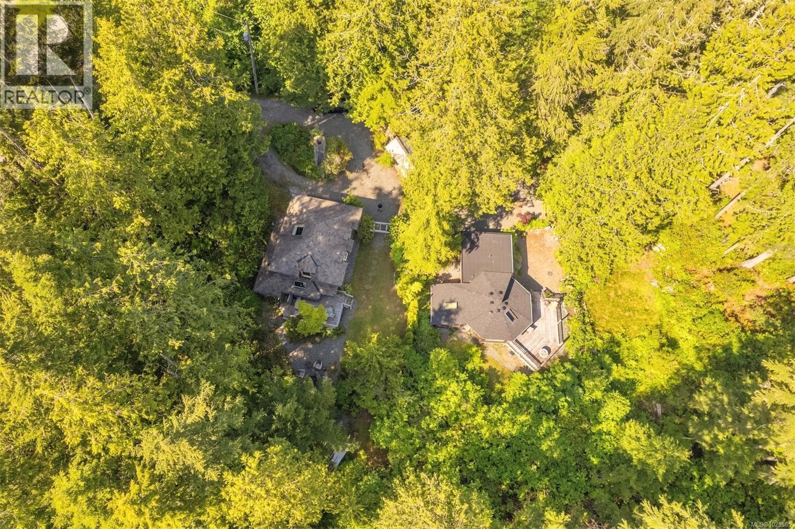 1076 Pacific Rim Hwy photo 4