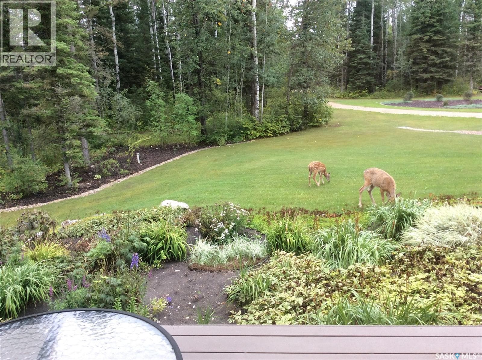 4.96 acres move in ready property — photo 5