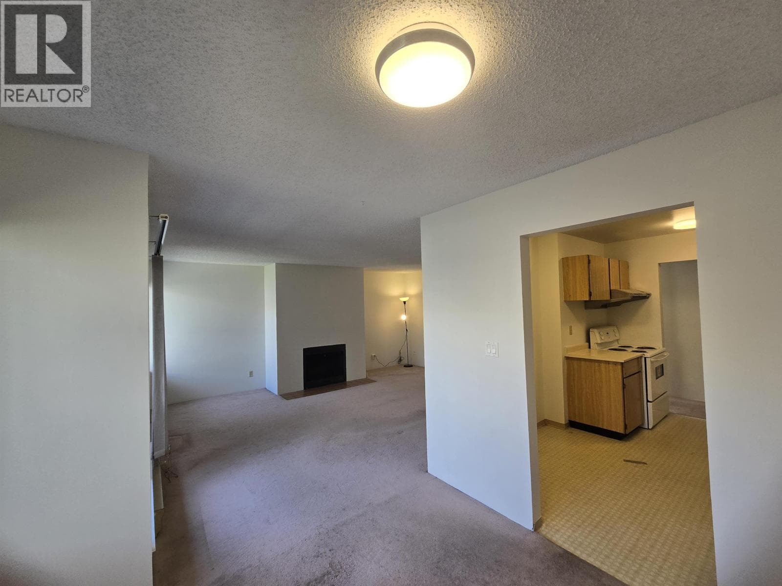 216 8400 ACKROYD ROAD photo 5