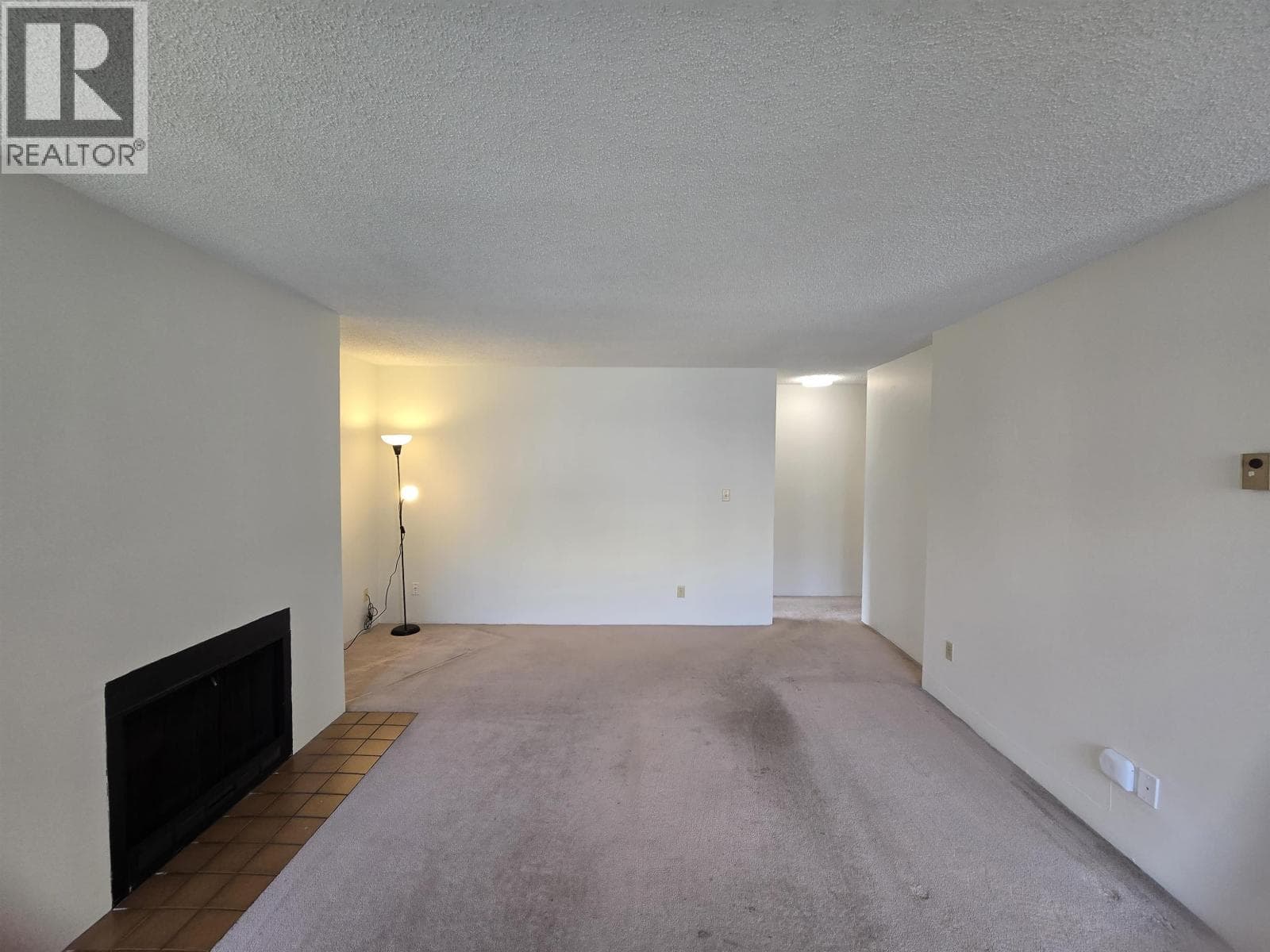 216 8400 ACKROYD ROAD photo 3