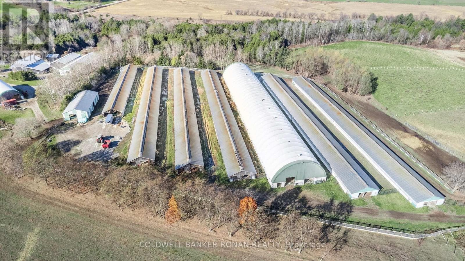 5735 CONCESSION RD 6 photo 4