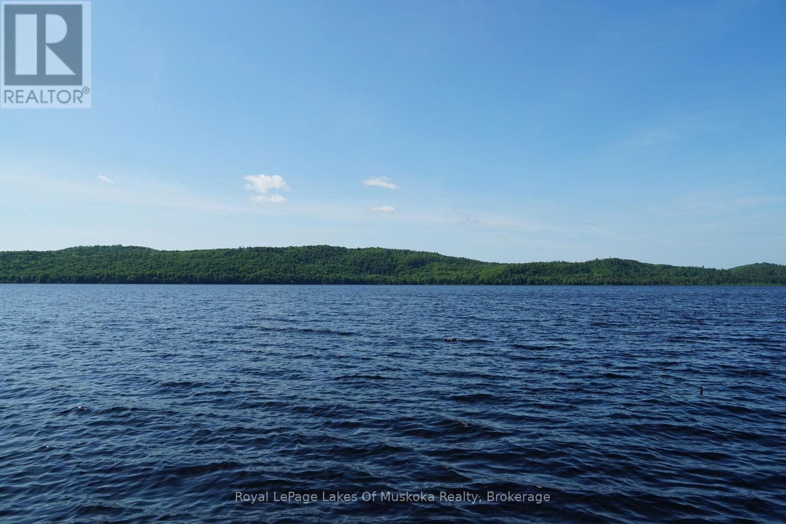 1173 HIGHWAY 60 photo 4