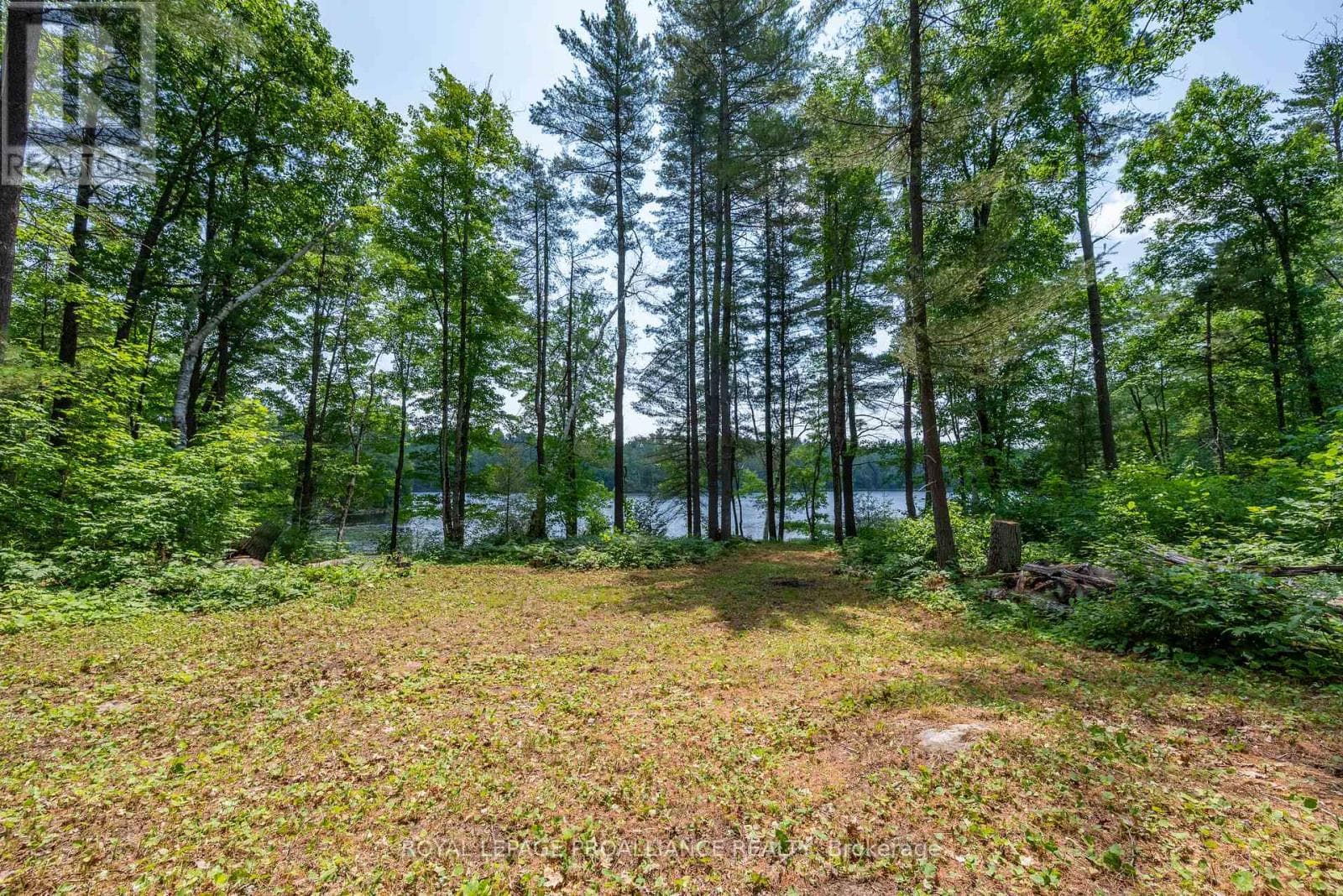 1180 MARSHALL LANE photo 4