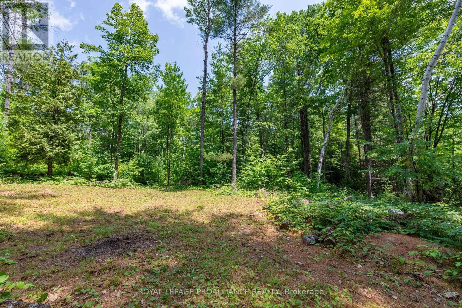 1180 MARSHALL LANE photo 5