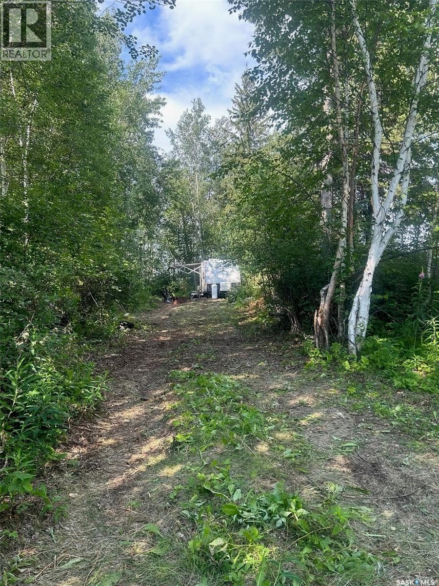 2 Canoe ROAD — photo 3