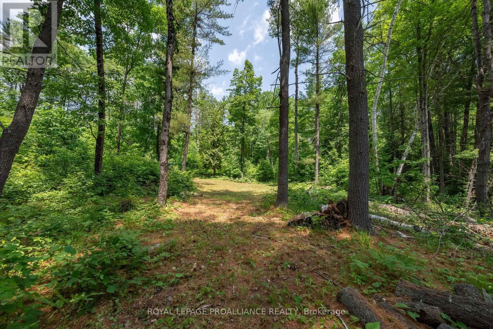 1180 MARSHALL LANE photo 3