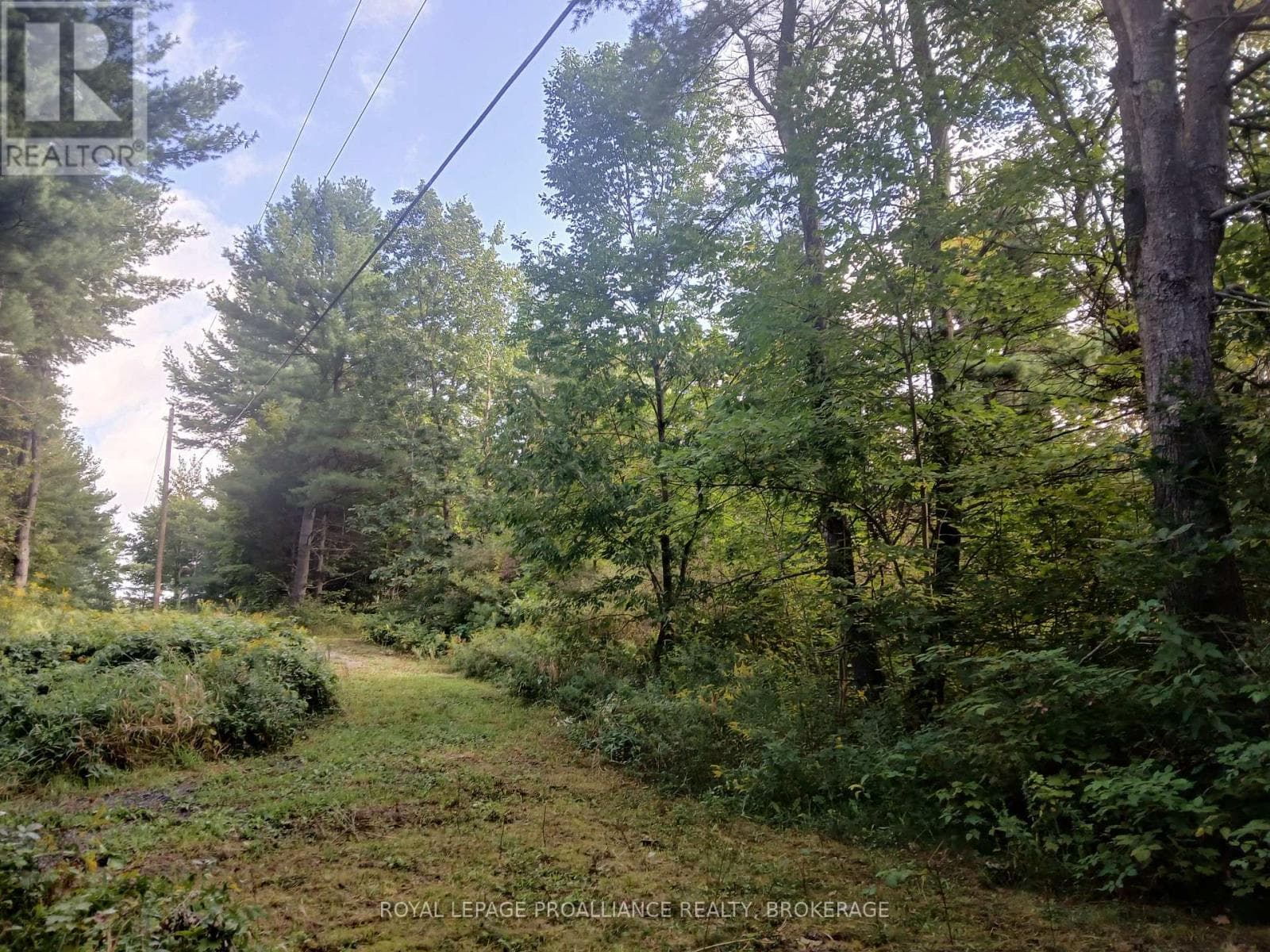 1030 LODGE LANE photo 5