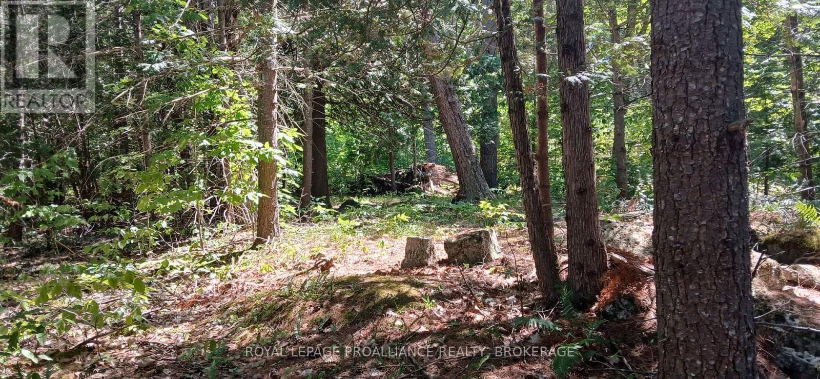 1050 LODGE LANE photo 3