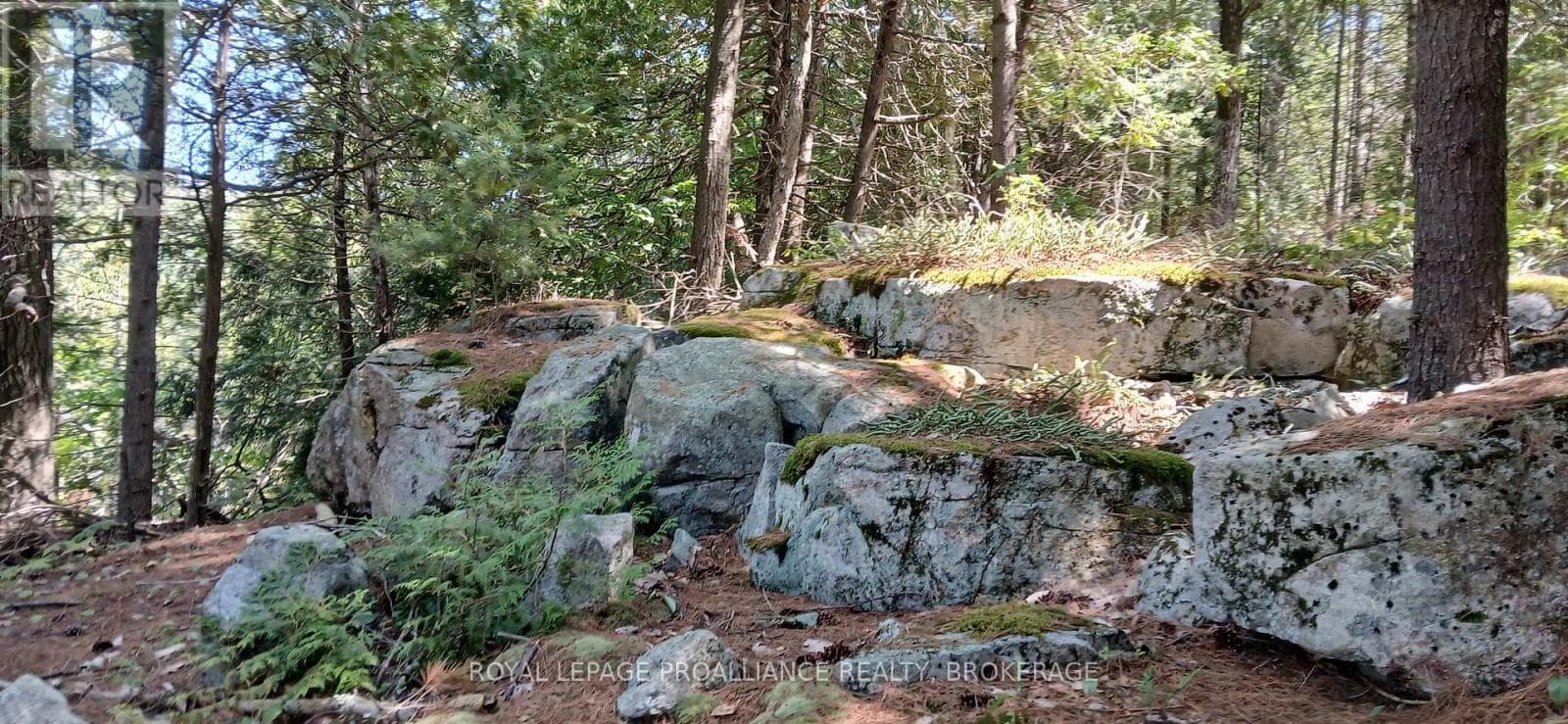 1050 LODGE LANE photo 4