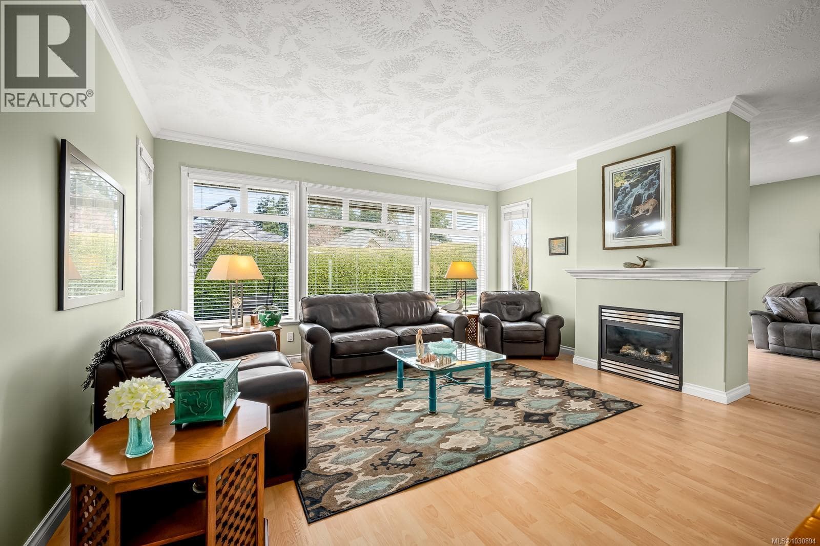 237 3399 Crown Isle Dr photo 3