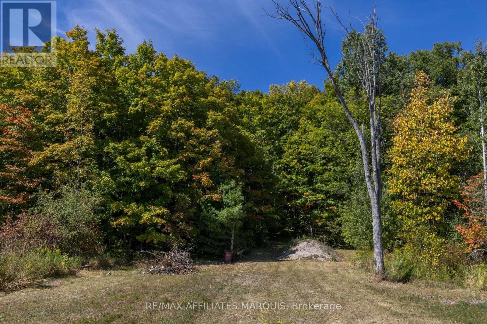 19112 HWY 7 HIGHWAY photo 5