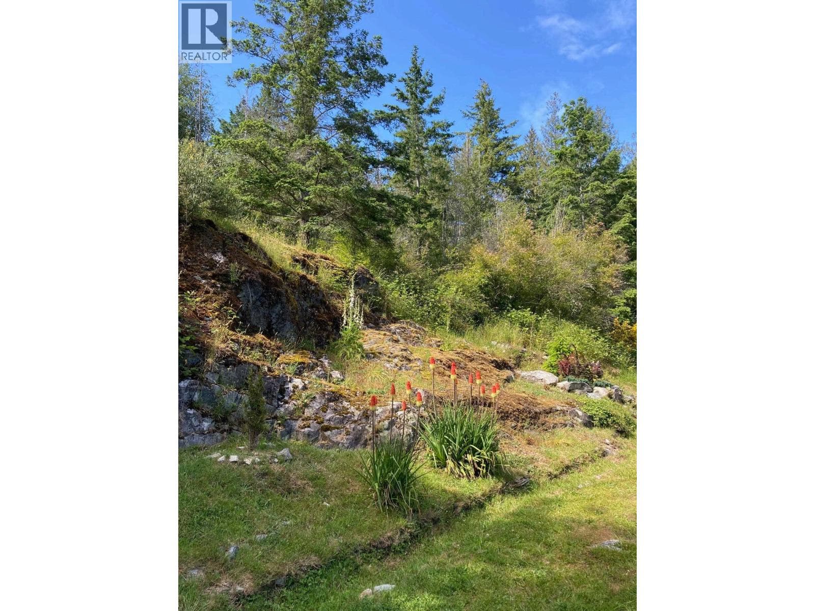 4569 FRANCIS PENINSULA ROAD photo 3