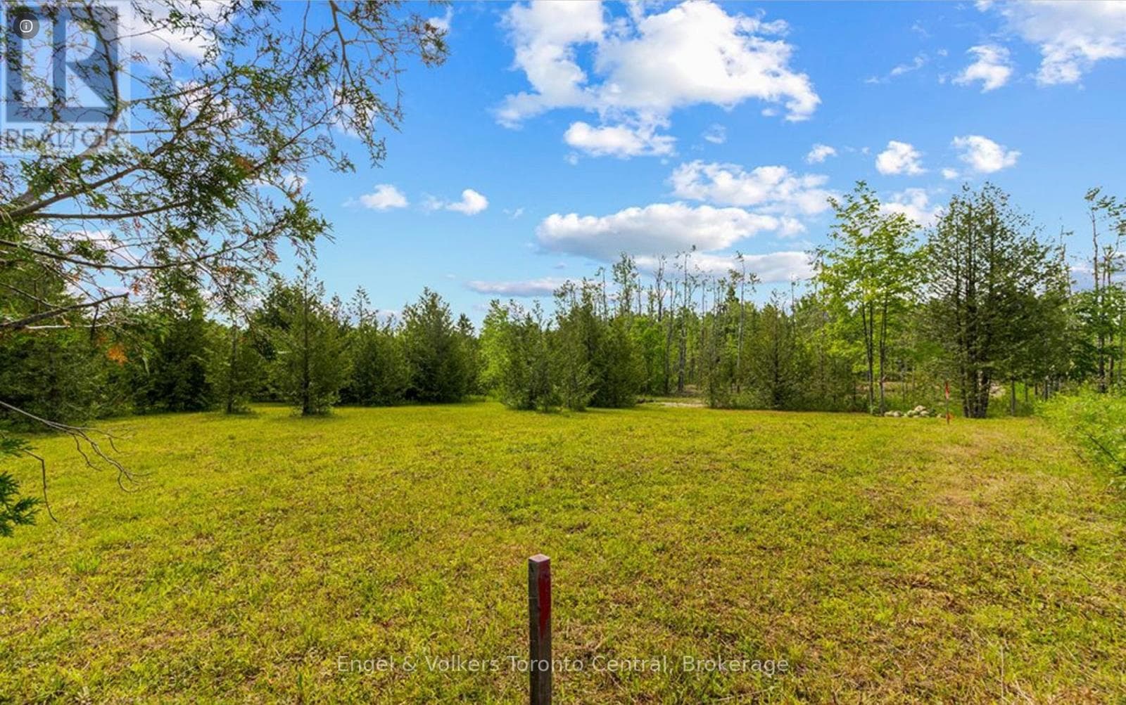 429571 8TH B CONCESSION photo 3