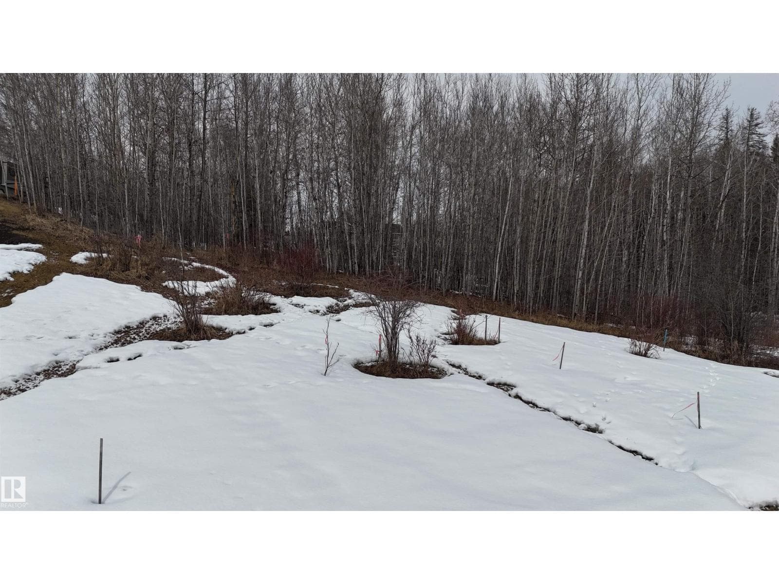 136 5509 Township Road 494 photo 2