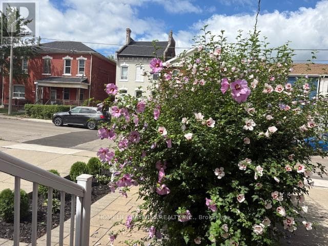 128 CATHCART STREET photo 3